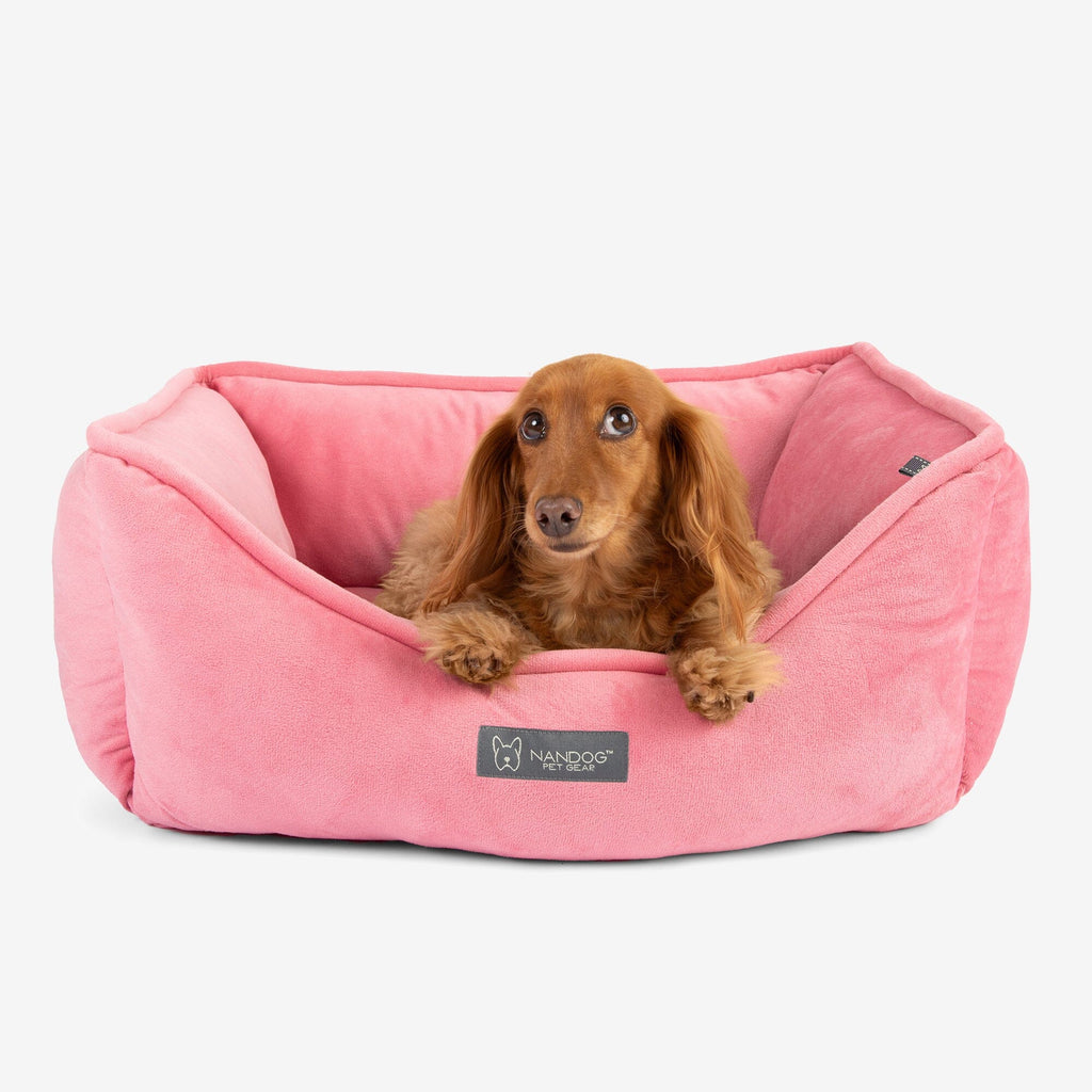 Nandog cupcake shop bed