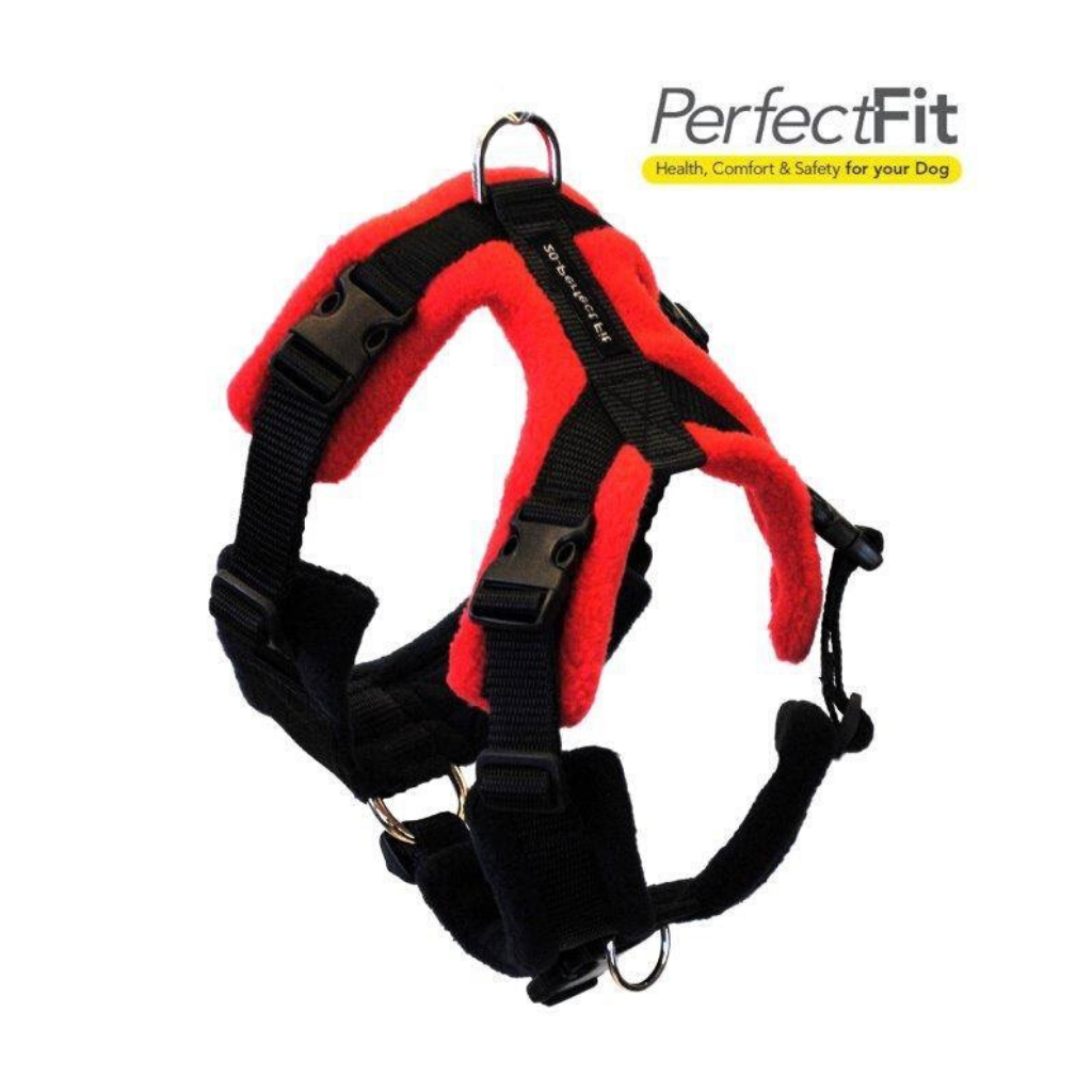 Perfect Fit Dog Harness – Dixie Doodles Pet Shop