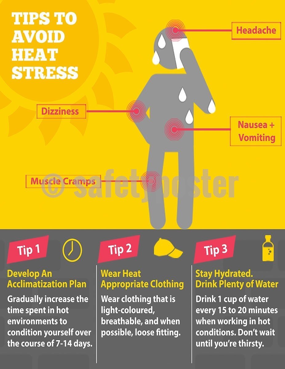 Tips To Avoid Heat Stress - Safety Poster