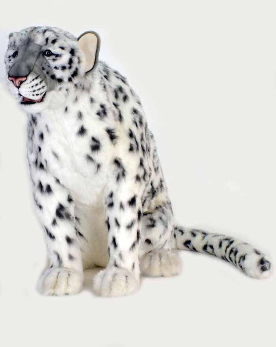 hansa snow leopard