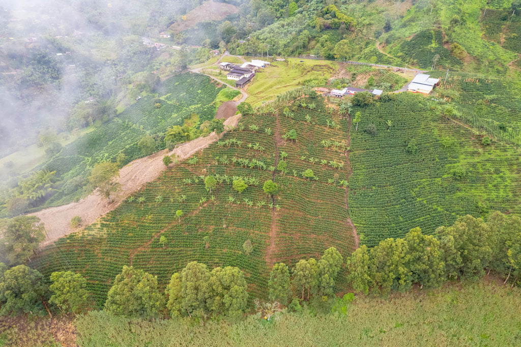 The coffee processing plantation in Jardin, Colombia.