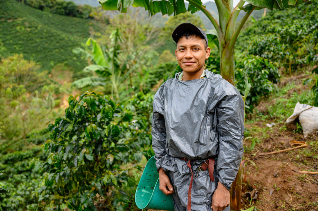 Farm had and cherry picker In Colombia