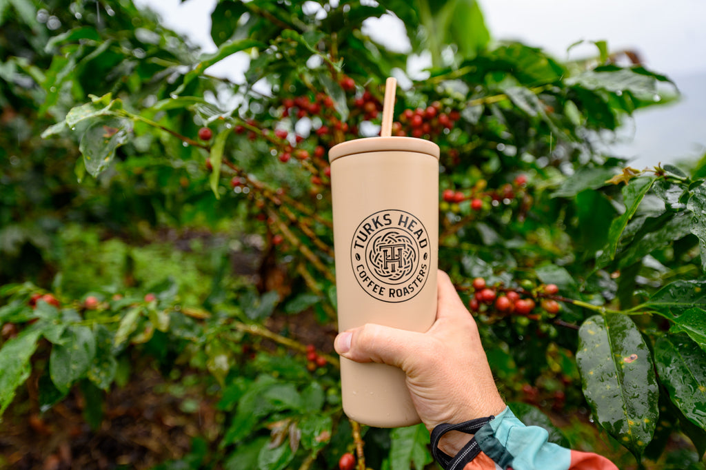 Turks Head Coffee Roasters on the Coffee Plantation in Jardin, Colombia