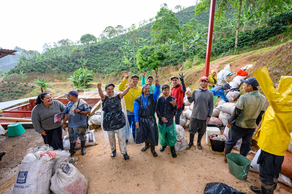 Coffee Cherry farm staff bringing cherries for depulping.