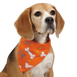 Orioles Dog Bandana 