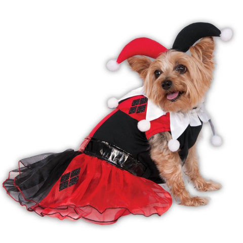 San Francisco 49ers Cheerleader Dog Costume - Halloween Costume Ideas 2023