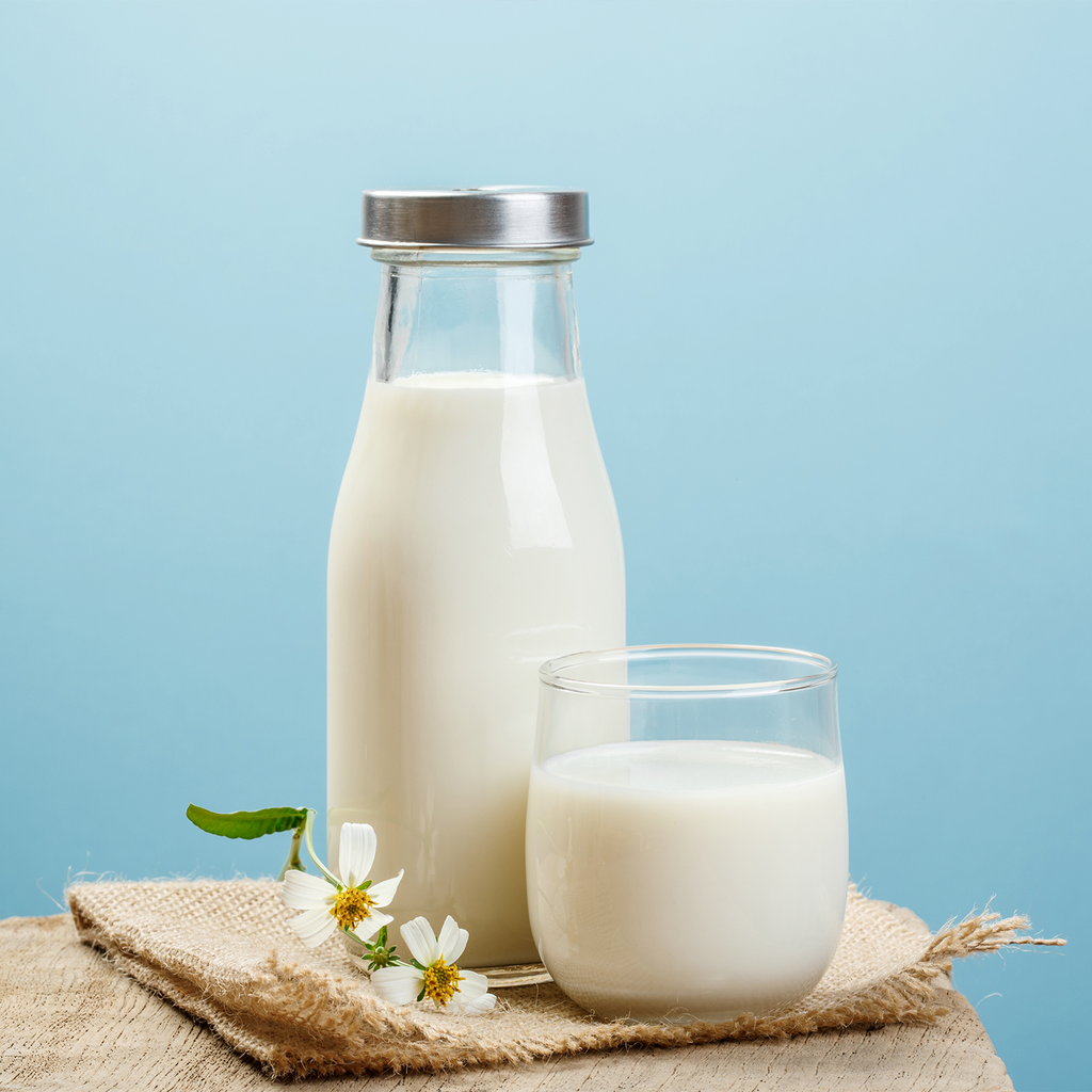 Camel Milk: The Allergy Free Choice – DromeDairy International