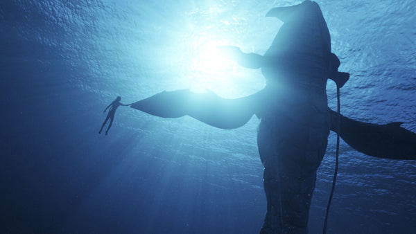 Avatar: The Way of Water Underwater
