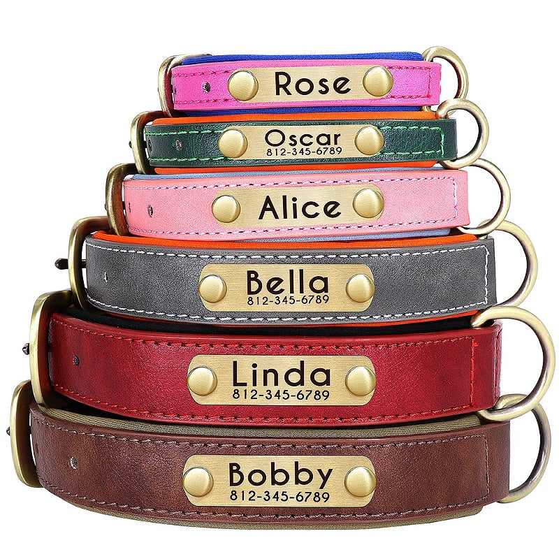 Soft Padded Dogs Collars: Ensuring Comfort and Safety for Your Furry Friend