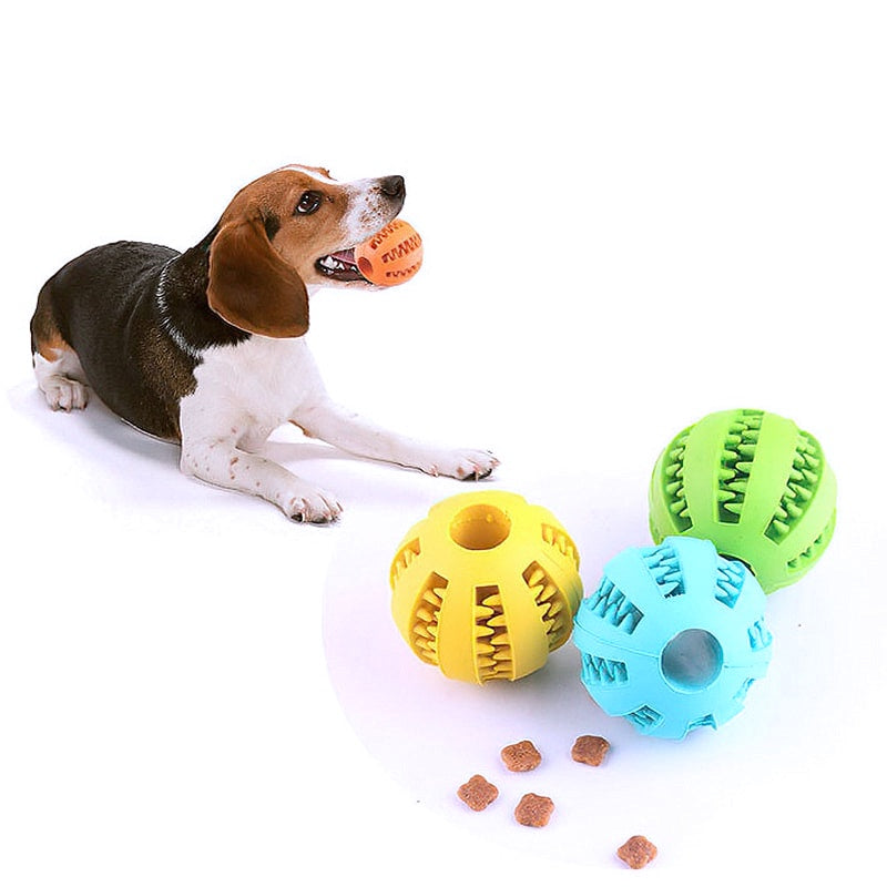 IQ training toy for cats and puppies to prevent boredom