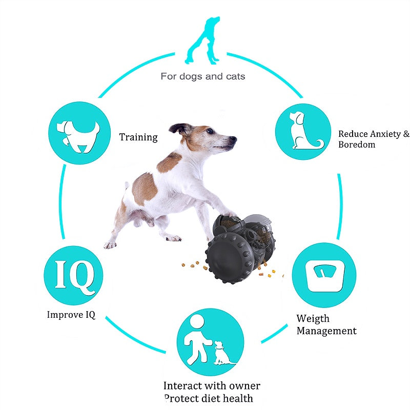 Extends eating time improves IQ and promotes foraging coordination