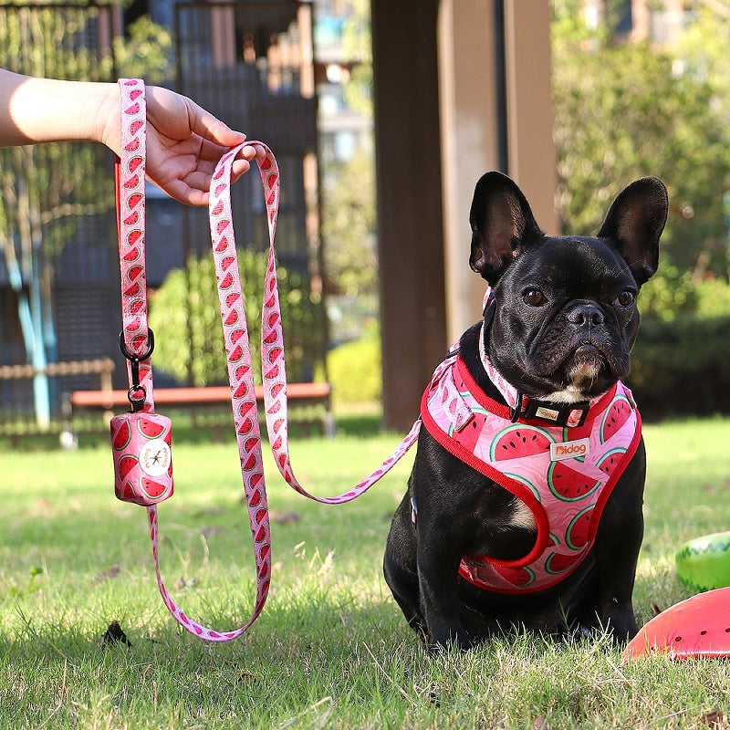 Adjustable design for a perfect fit on small to medium dogs