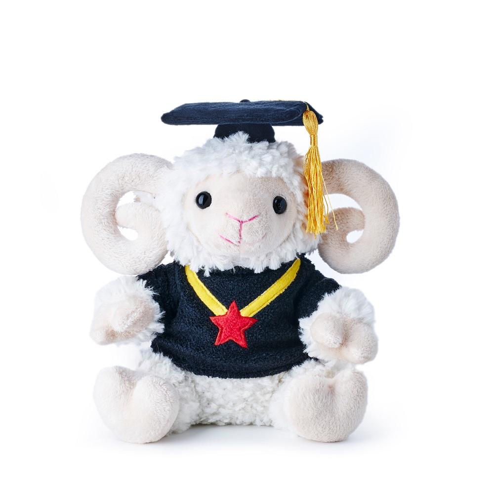 graduation stuffed toy