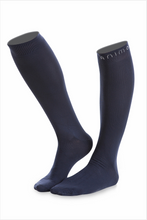 Animo socks- TAIPEI