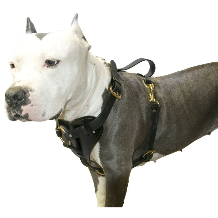 dog harness hardware