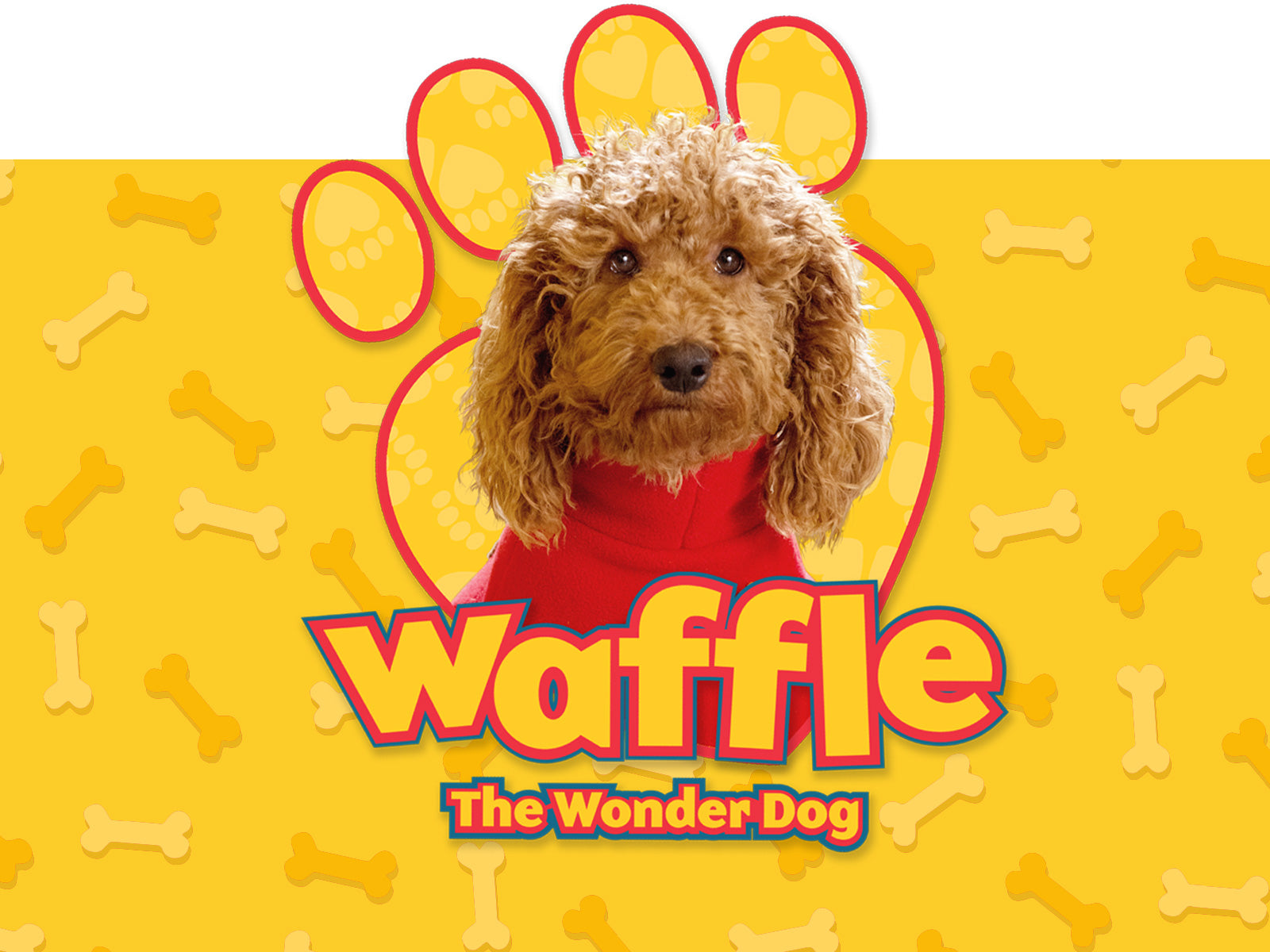 what breed of dog is waffle the wonder dog