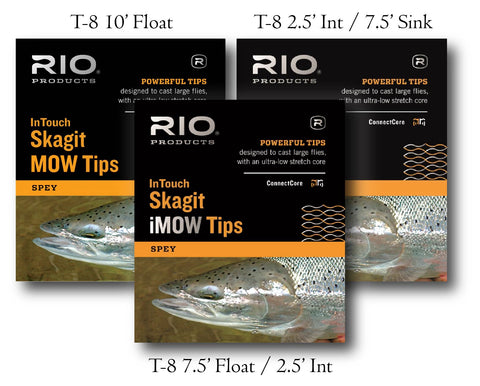 Echo SR 4wt Trout Spey Outfit sale