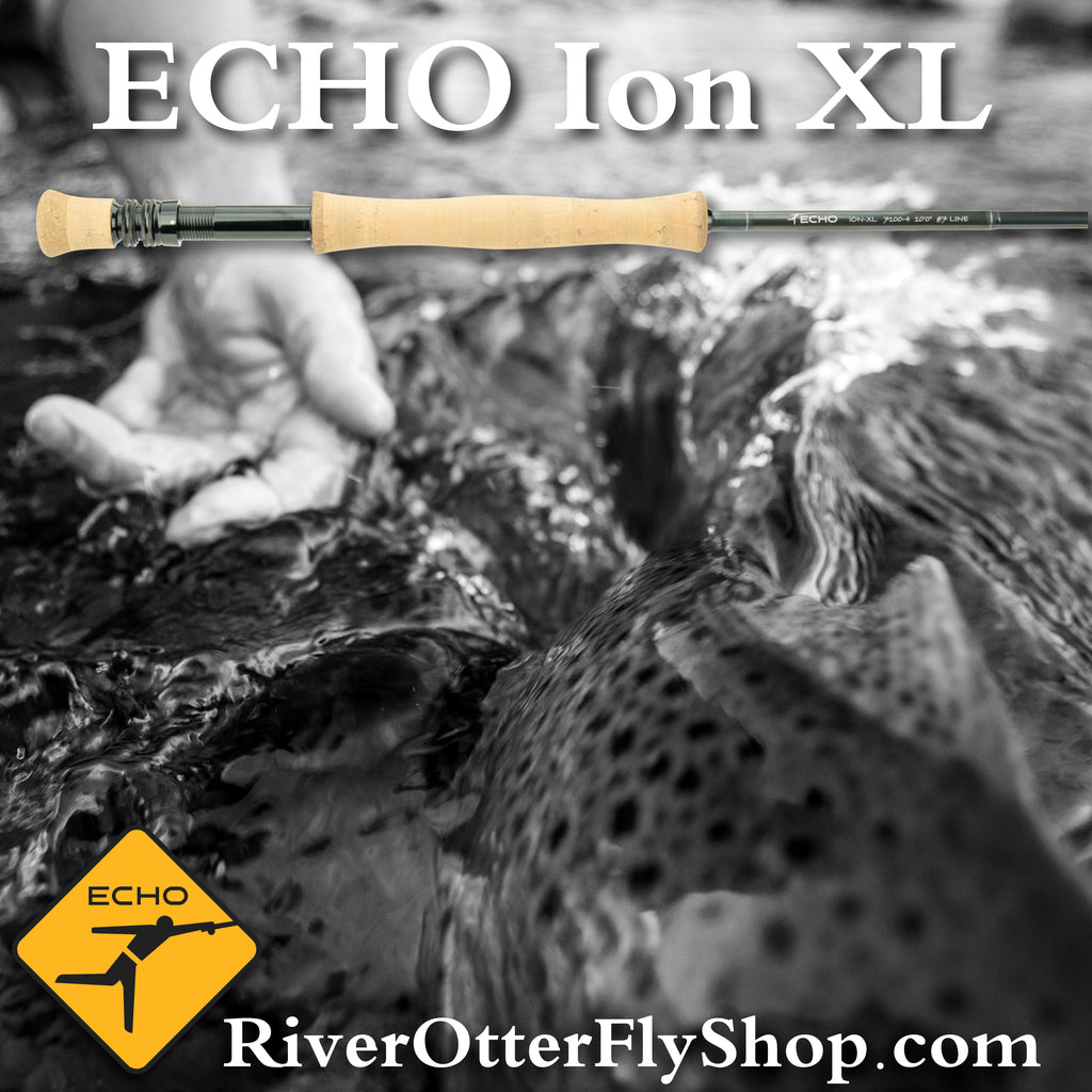 Echo Ion Fly Reel (4/5)