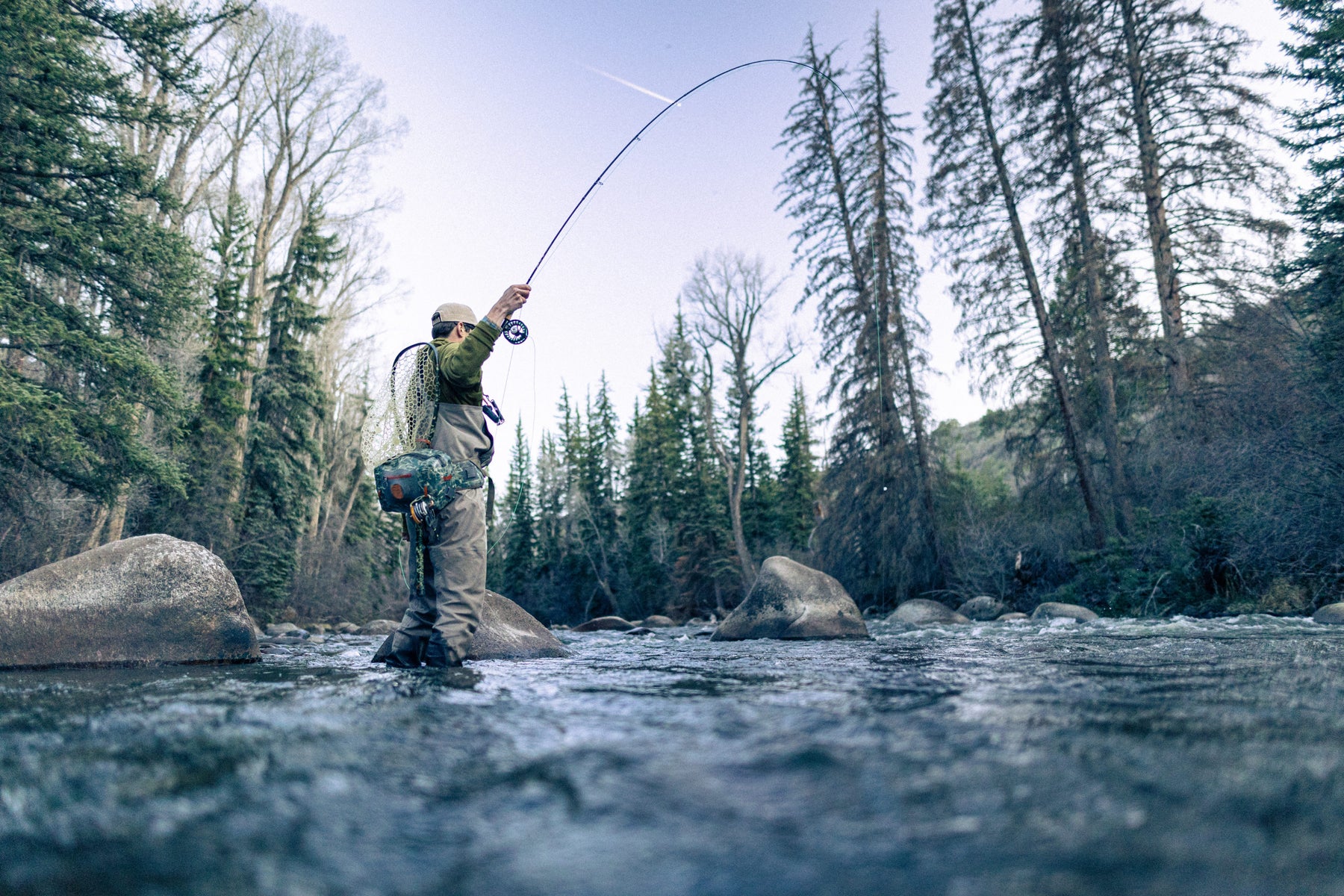 TFO Blue Ribbon Fly Rod 8' 3wt