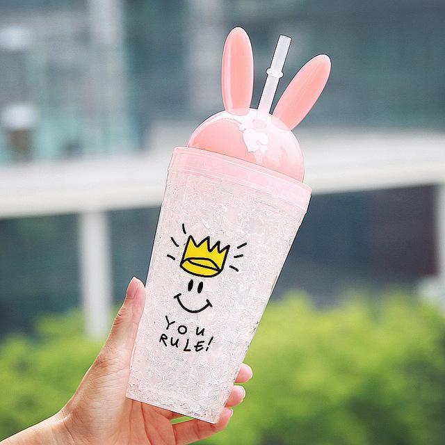 Rabbit Ears Creative Summer Ice Bottle With Straw - ShopnHob (3625240789072)