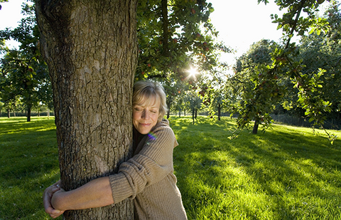 pretty woman bear hugs a tree