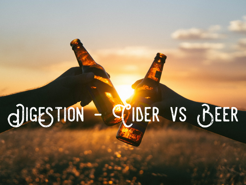 is-cider-healthier-than-beer