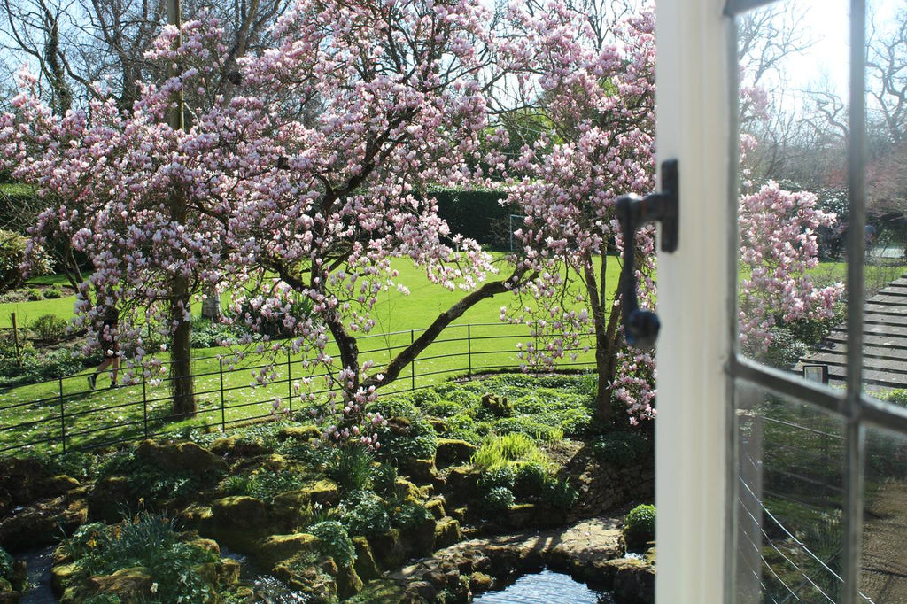 somerset-cider-hewletts-mill