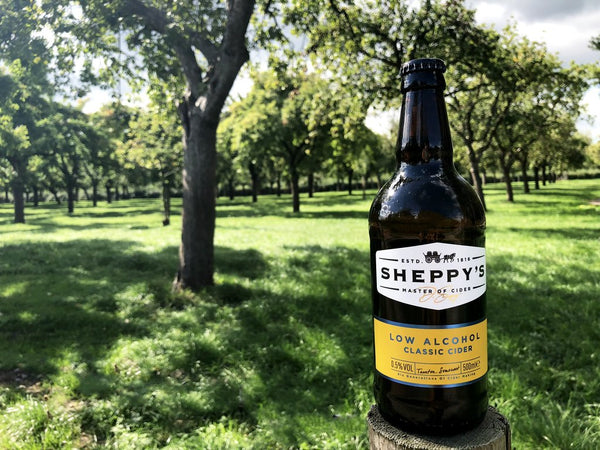 Sheppy's Low Alcohol Classic Apple Cider