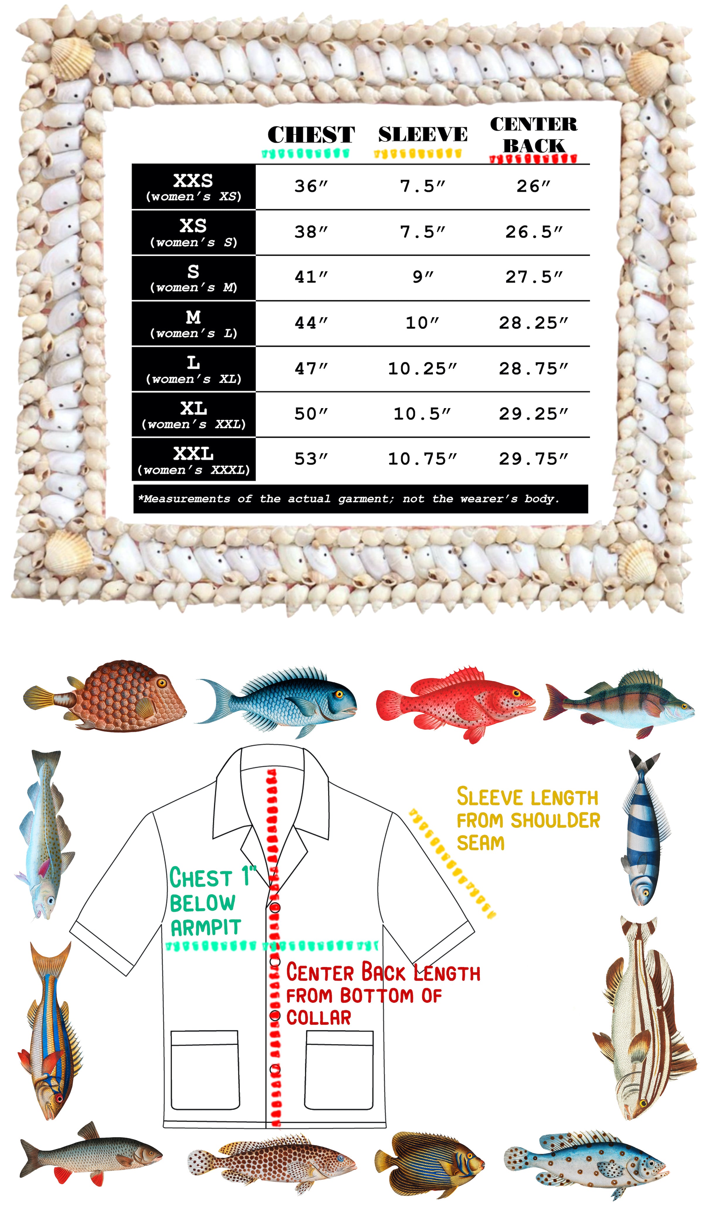 A poster with a shirt size chart and different fish.