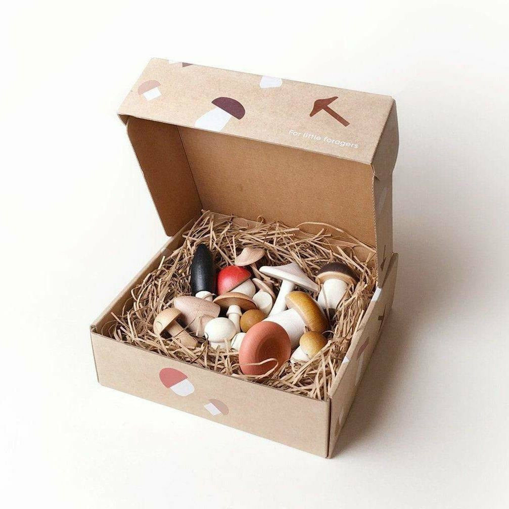 https://cdn.shopify.com/s/files/1/2386/1081/products/Moon-Picnic-Forest-Mushrooms-in-a-box-web-1.jpg?v=1685282960&width=1080