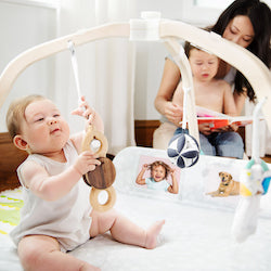 love every baby play gym