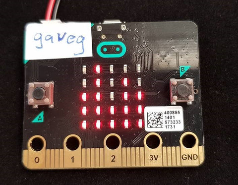 micro:bit name