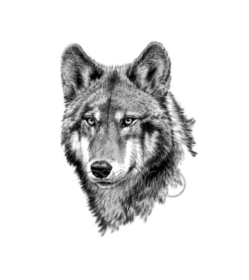 Tatouage Tete De Loup Realiste Wolf Dream