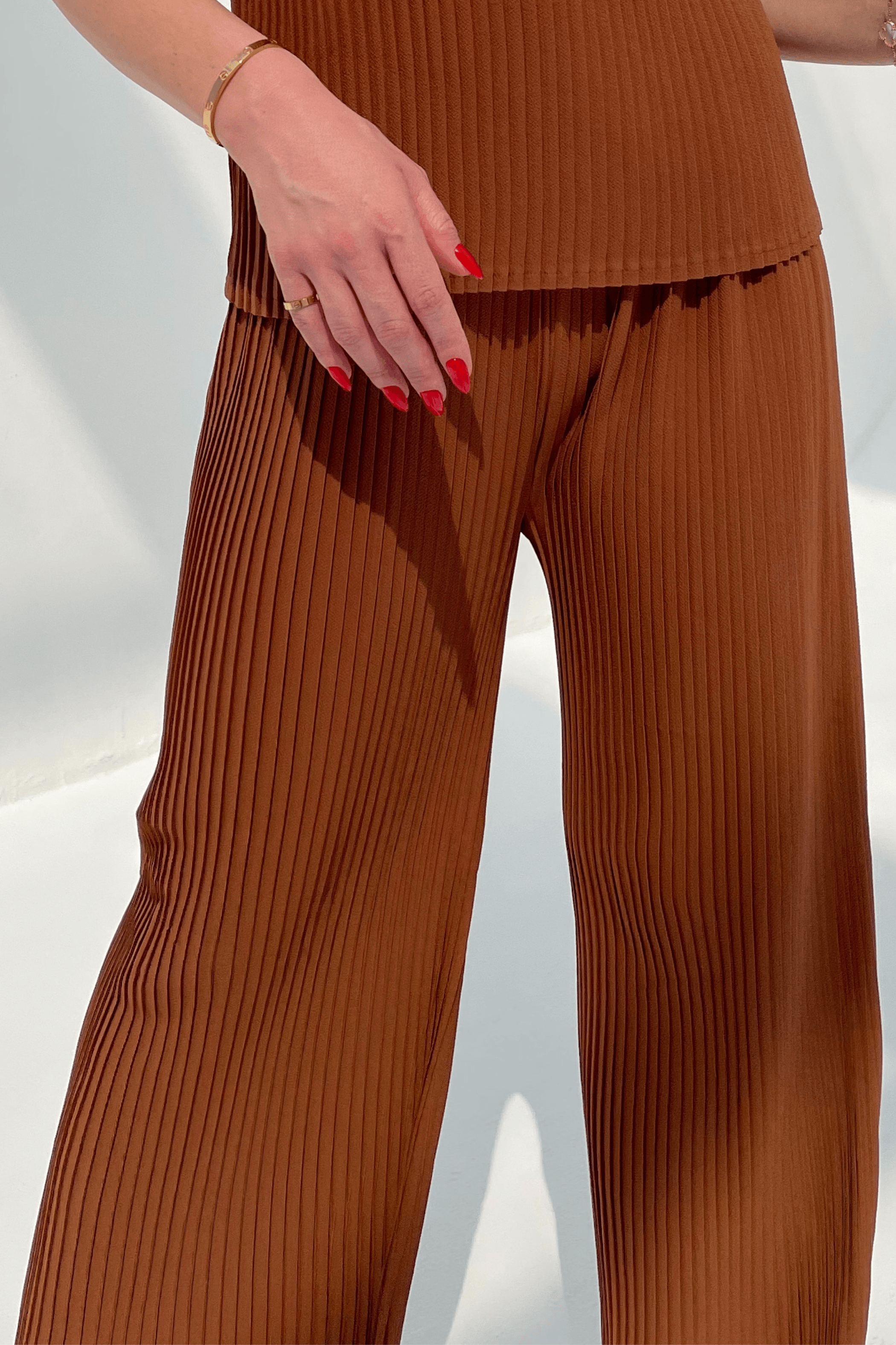 Pleated Artificial Leather Pants in Brown – MANNATT GUPTA