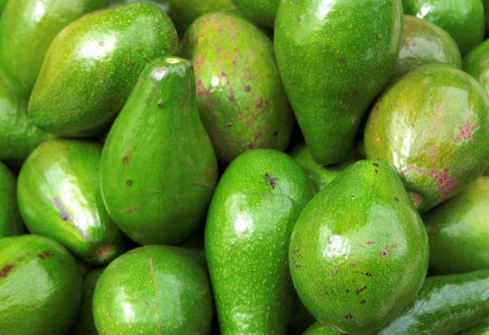 organic avocado farmers market