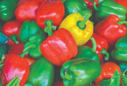 farmers market bell peppers