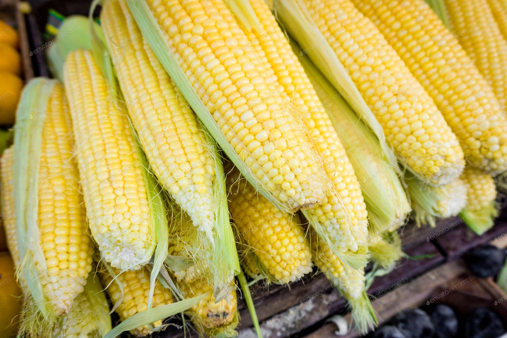 farmer market corn