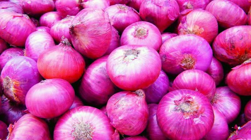 red onion at farmers market