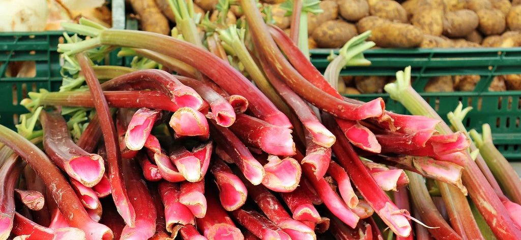 Rhubarb farmers market