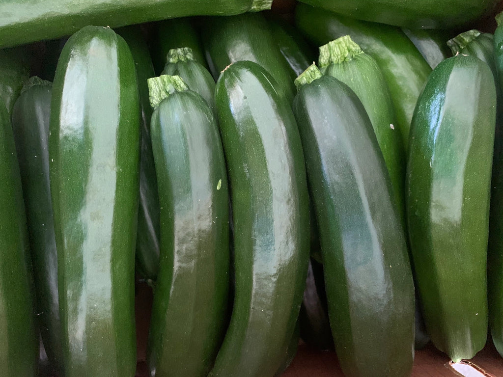 locally grown zucchini