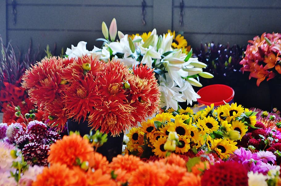 flowers at farmers market