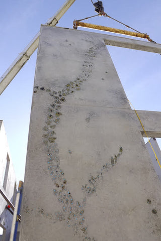 crane installing tilt up concrete wall with leaf imprints