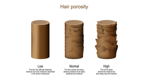 Natural-Hair-porosity