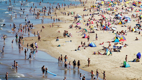 Zandvoort