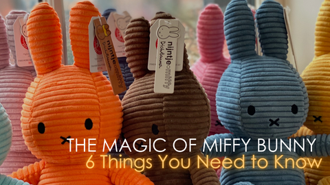 Miffy Bunny, Miffy Bunny Article