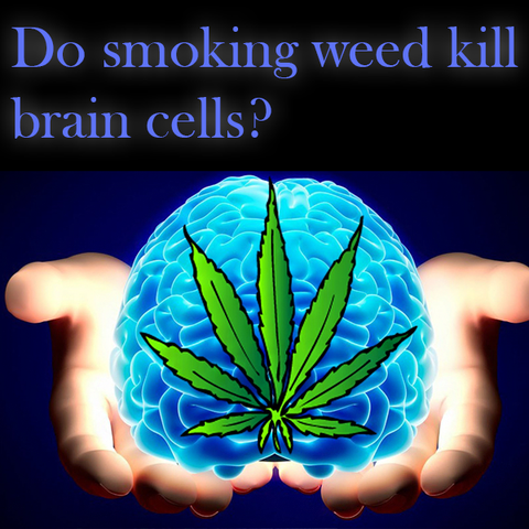 Do smoking weed kill brain cells