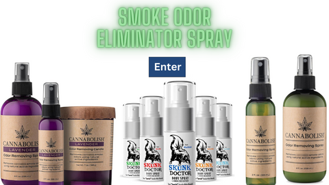 odor remover smoke