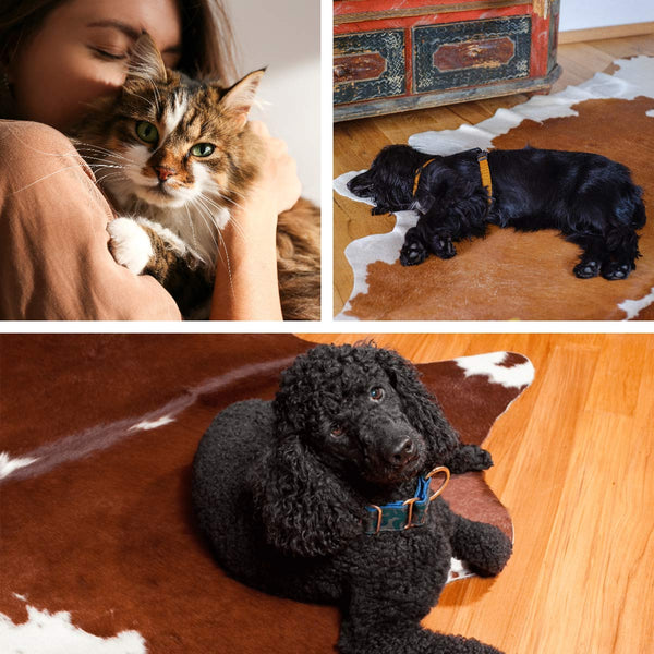 Family friendly cowhide rugs by Gorgeous Creatures
