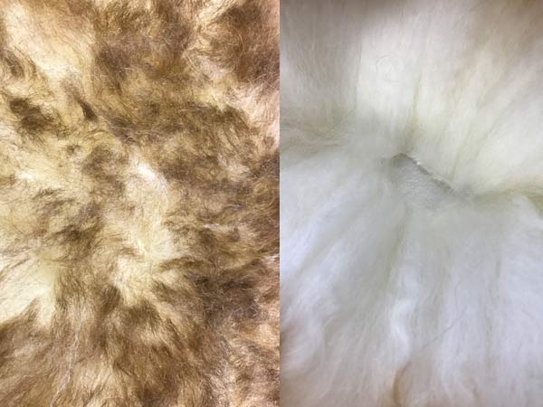 Pet sheepskin rug grade