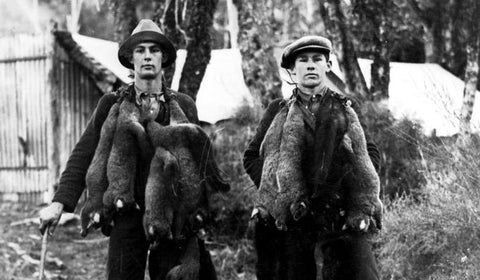 Historical photo of NZ possum fur trappers